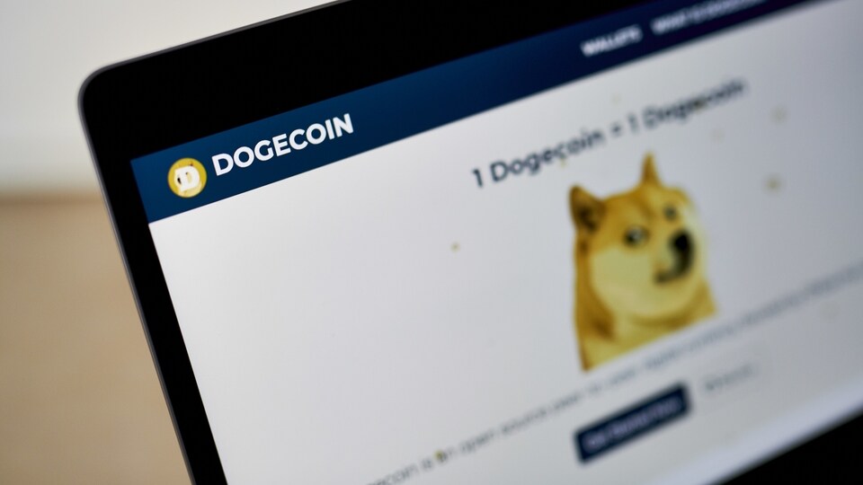 Dogecoin, a cryptocurrency conceived as a joke but now the world's fifth-most valuable, plunged from an all-time high after its most famous cheerleader, Elon Musk, jokingly called it 