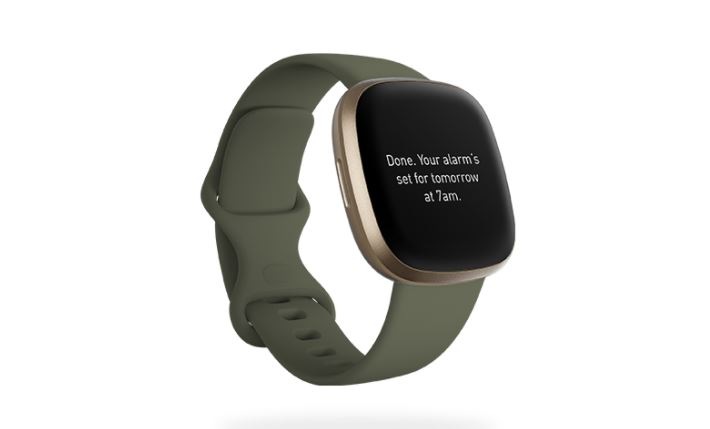 Fitbit versa 3 voice assistant clearance