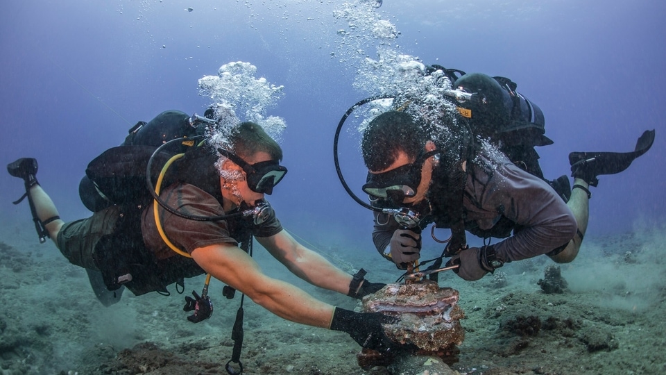 Representational Image: An undersea cable. 