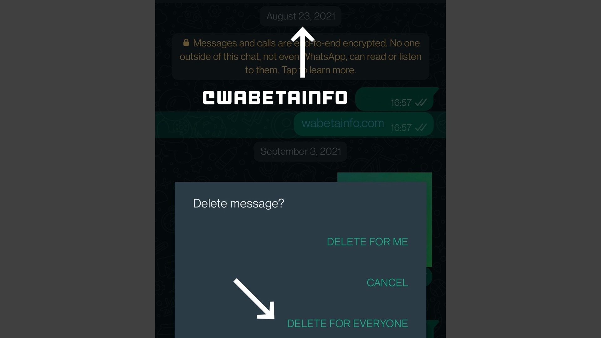 WABetaInfo shared an image of the Delete for Everyone feature working on a three-month-old message. WhatsApp