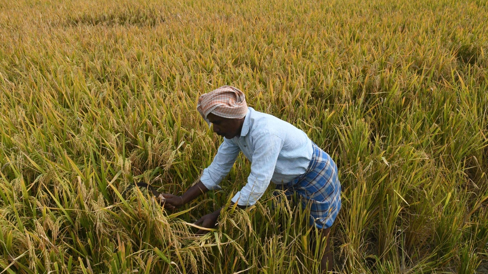 PM Kisan 10th installment date: Benefits like PM Kisan ID Cards, PM Kisan Credit Cards, PM Kisan Maandhan Yojana ara available.