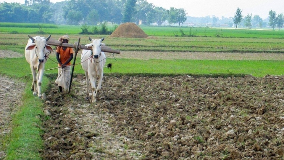 PM Kisan 10th installment date is likely to fall in the middle of December, 2021.