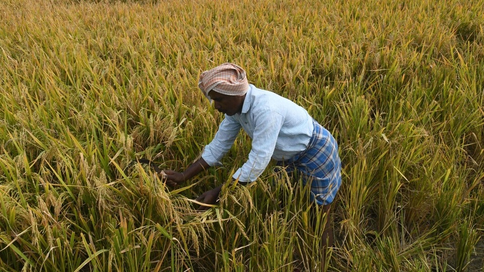 PM Kisan 10th installment: Farmers can visit pmkisan.gov.in website to get their name included in the beneficiary list. PM Kisan 10th installment: Farmers can visit pmkisan.gov.in website to get their name included in the beneficiary list.