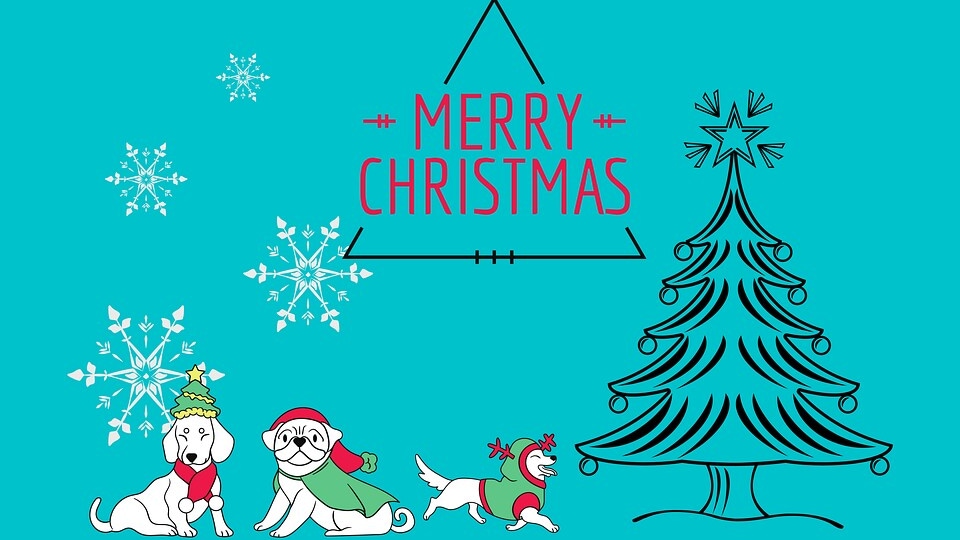 Happy Christmas Day (Merry Christmas) 2021 WhatsApp Wishes Stickers