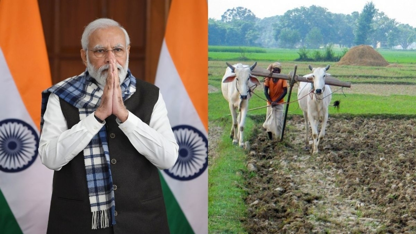 Check PM Kisan 10th installment status via PM Kisan mobile app and official website.