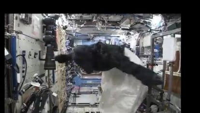 An astronaut smuggled a gorilla suit onto the International Space Station (ISS) to scare other NASA astronauts.