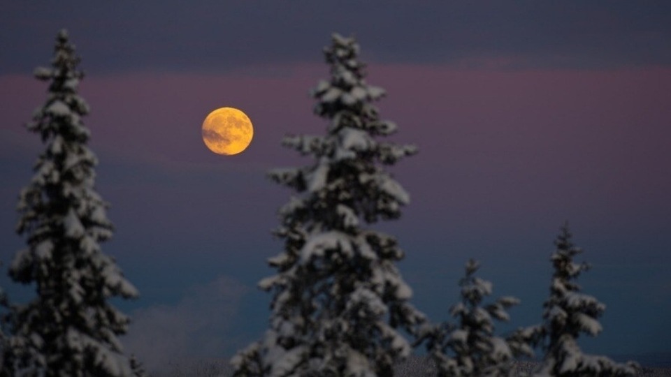 Wolf Moon 2022 is believed to be the second brightest star in the night sky after the Sun.