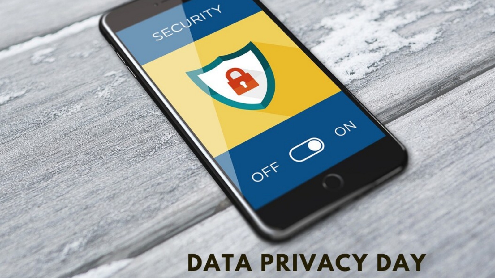 Data privacy day