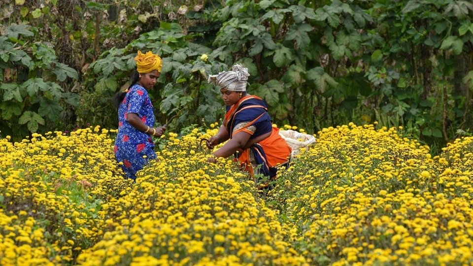FM Nirmala Sitharaman announced in Budget 2022 that govt will be promoting Kisan drones and chemical-free natural farming