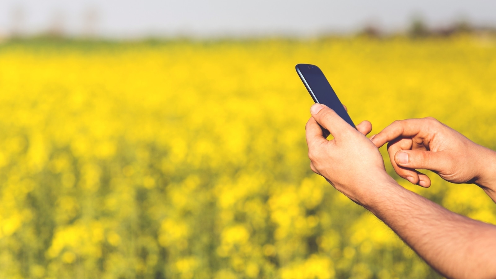 From farming, crop value to insurance, these Android apps for farmers are of great utilitarian value. Android apps for farmers