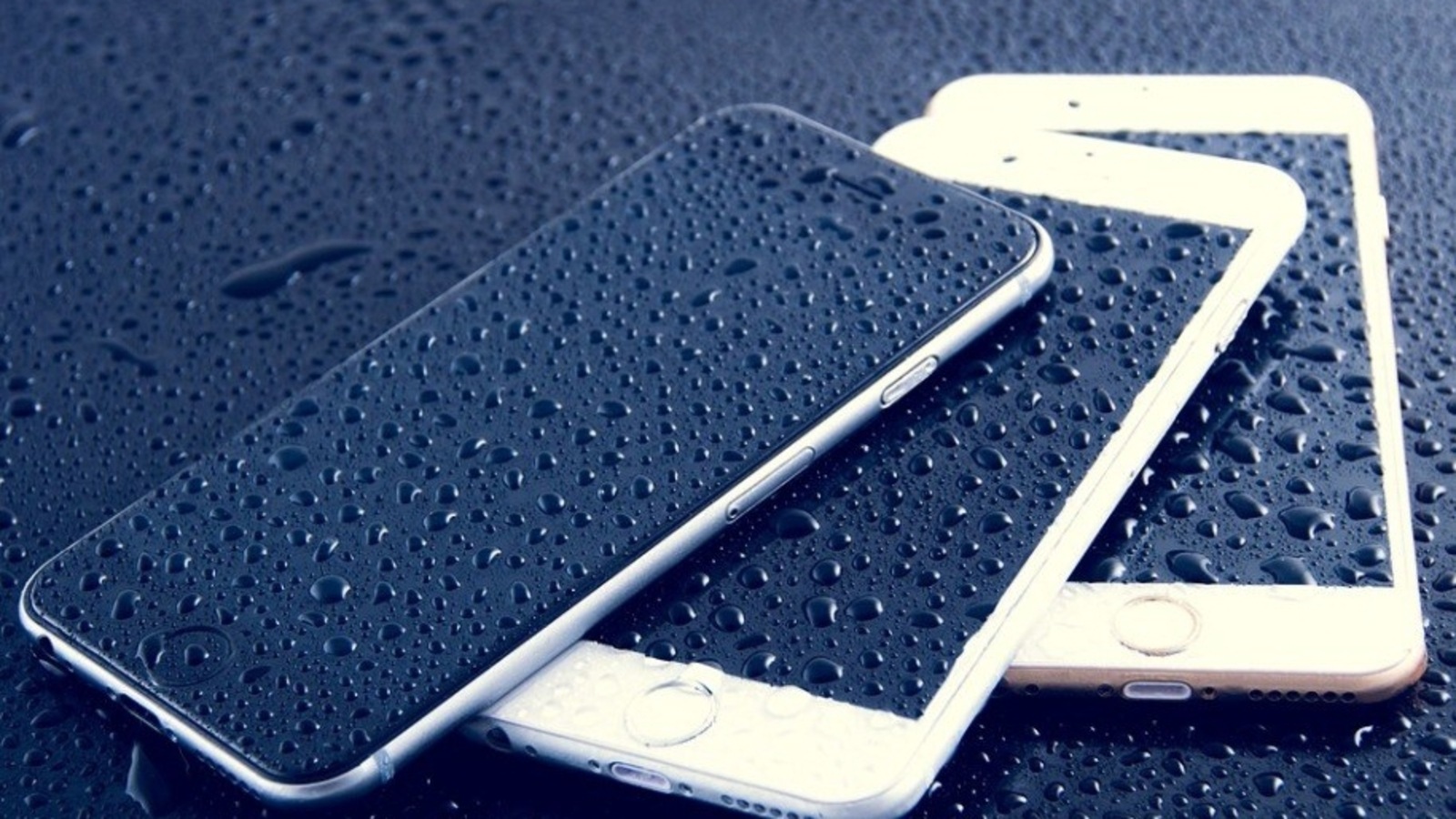 Happy Holi 2022: Tips to recover your phone if it got water on it. Happy Holi 2022: Tips to recover your phone if it got water on it.