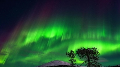 Northern Lights