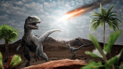 NASA tells us how large the asteroid that killed dinosaurs and destroyed the Earth was.