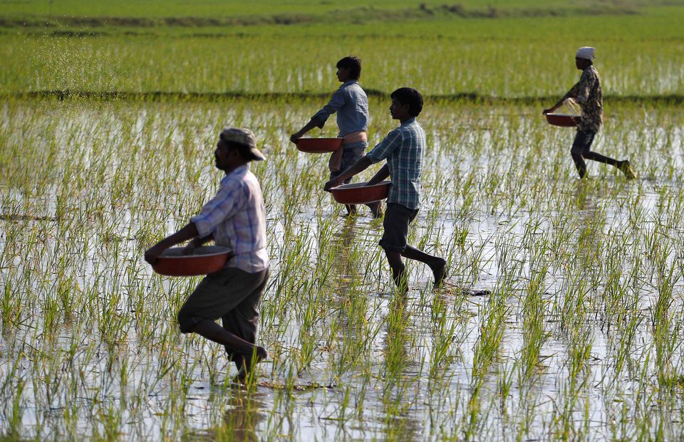 PM Kisan 11th installment: Here is how you can get your name included in the PM Kisan beneficiary list online. PM Kisan 11th installment