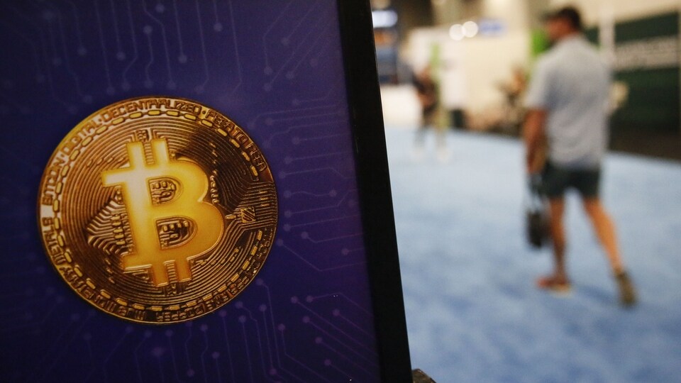 Cryptocurrency news today June 11: Bitcoin at Rs 28,60,224—check Ethereum,  Tether, Shiba Inu and Dogecoin INR price movement - Zee Business