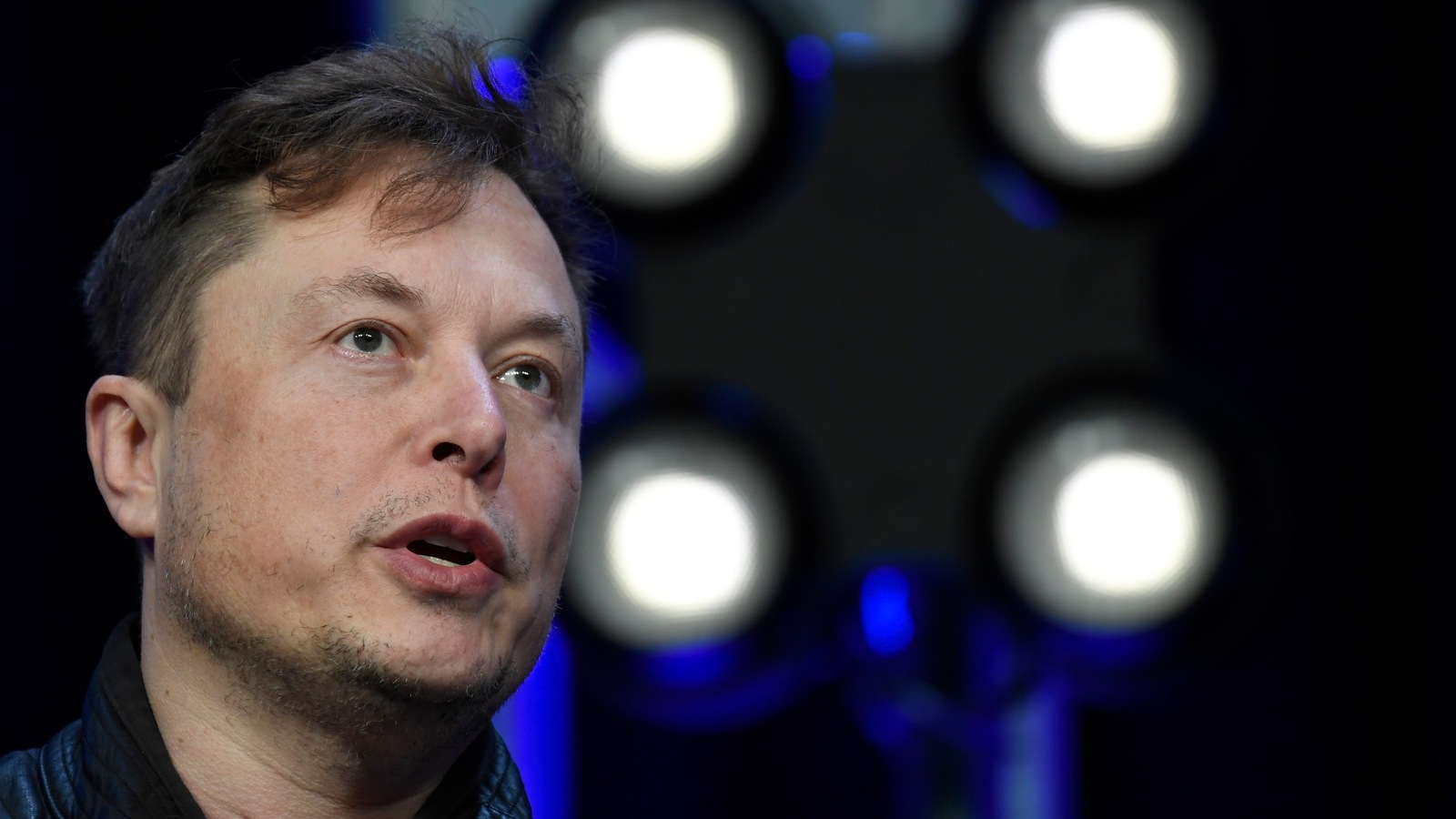 Elon Musk and Cathie Wood criticized passive investing in a Twitter thread. Elon Musk and Cathie Wood criticized passive investing in a Twitter thread.