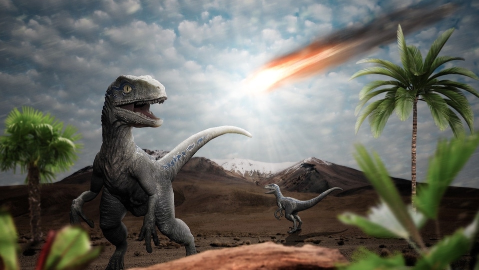 Dinosaurs and asteroid