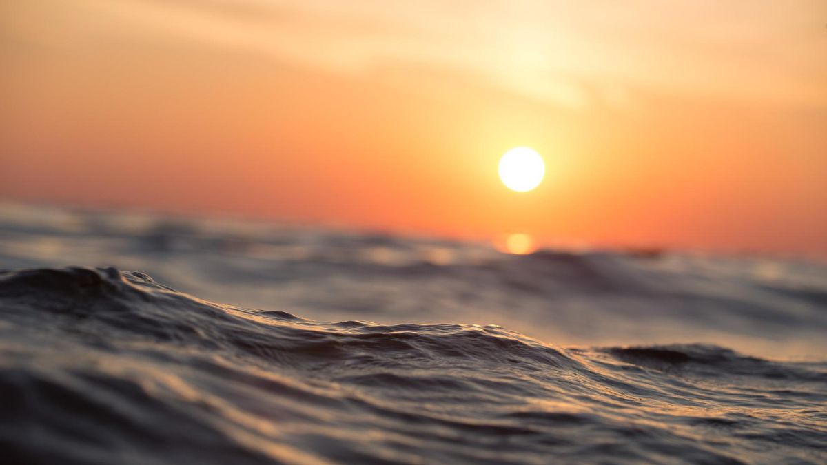 Climate change crisis: A recent study published in Science Advances found that Oceans are losing their memory due to global warming. It also mentions that as greenhouse gas concentrations continue to rise, such a decline in the memory of the ocean is what is happening at an increasing pace. Ocean