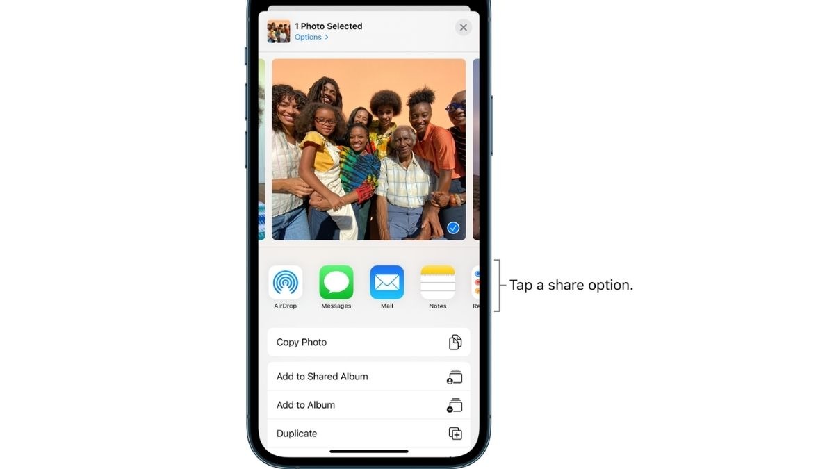 If you’re content with the screenshot, then tap on share option. This will open up the native share option where you have the option to send it as a long image or multiple PDFs. Apple