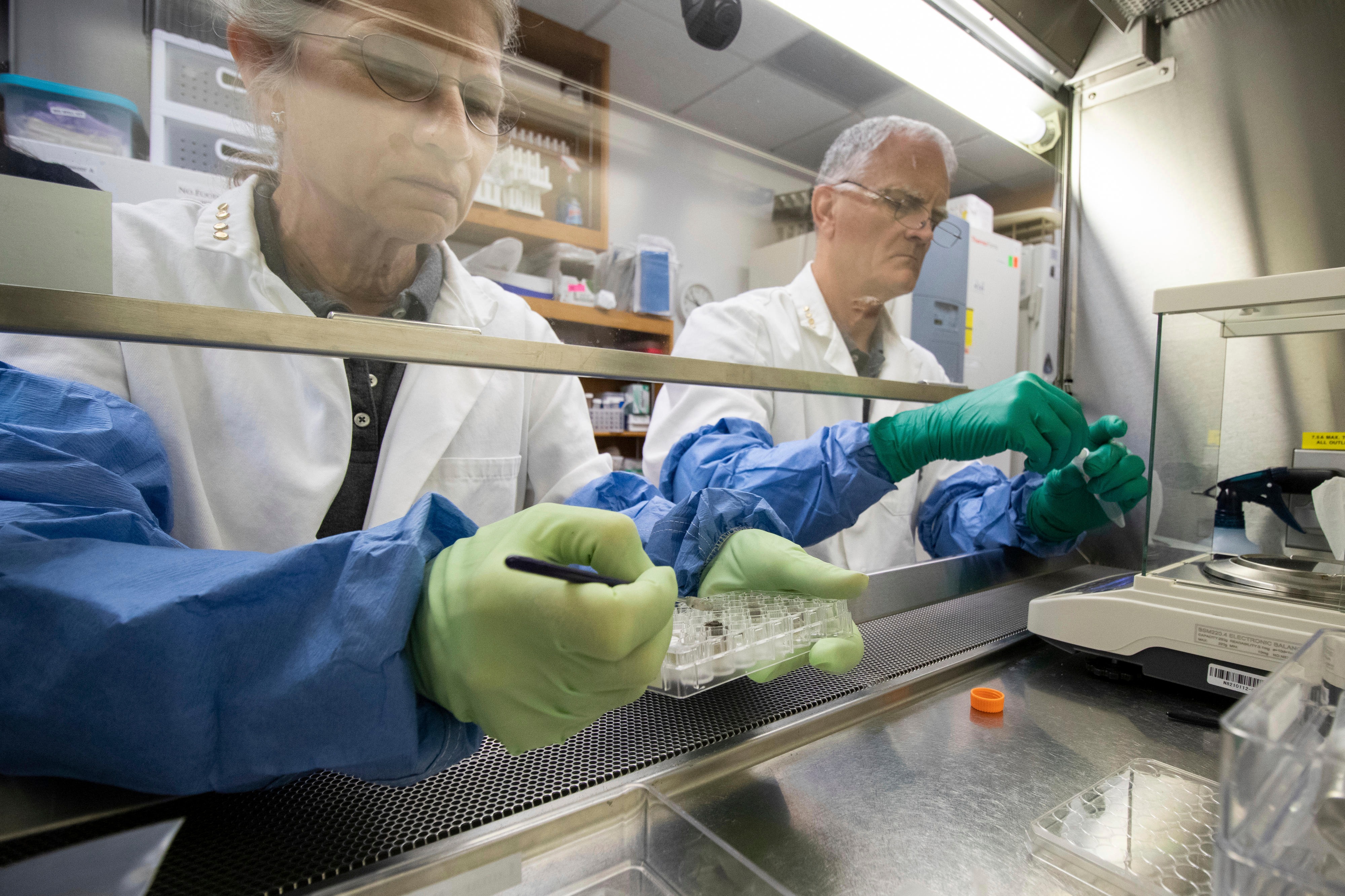 NASA Administrator Bill Nelson said “This research is critical to NASA’s long-term human exploration goals as we’ll need to use resources found on the Moon and Mars to develop food sources for future astronauts living and operating in deep space.” He added “This fundamental plant growth research is also a key example of how NASA is working to unlock agricultural innovations that could help us understand how plants might overcome stressful conditions in food-scarce areas here on Earth.” Lunar Soil