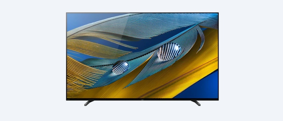 planning-to-buy-a-tv-tcl-mini-c825-led-tv-to-sony-bravia-xr-a80j-here-are-5-tv-options-photos