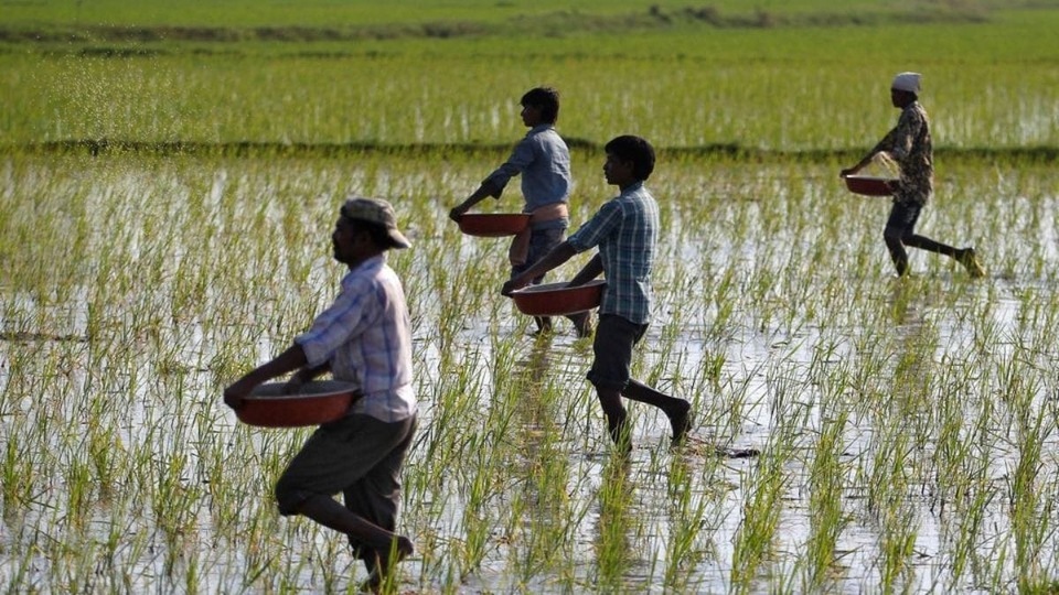 How to check PM Kisan 11th installment status via PM Kisan Mobile App: Download the PM Kisan Mobile Application from the official website of PM Kisan or click on the link- https://pmkisan.gov.in/. You can also directly go to the Google Play store on your Android device and type PM Kisan App and can download it from there as well. Then click on the Beneficiary Status and provide all the details asked for.