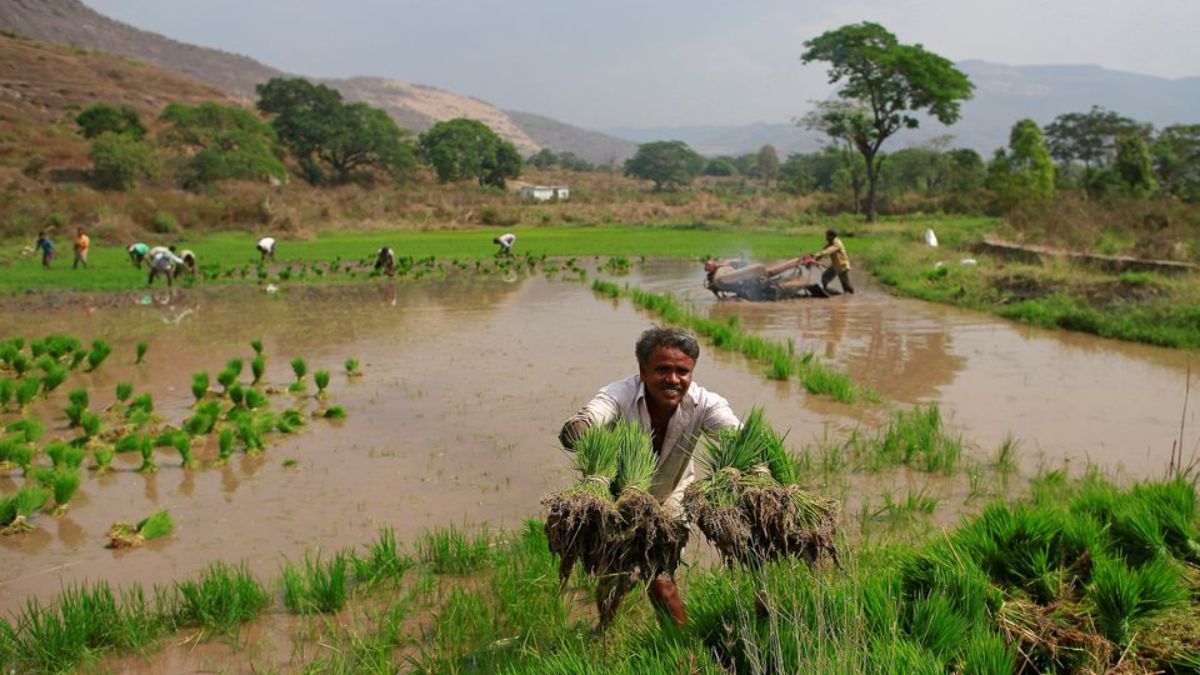 According to the official website, “e-KYC is MANDATORY for PMKISAN Registered Farmers. OTP Based e-KYC is available on PM KISAN Portal. or nearest CSC centres may be contacted for Biometric based e-KYC. Deadline of e-KYC for all the PM KISAN beneficiaries has been extended till 31st July 2022.” PM Kisan 11th installment