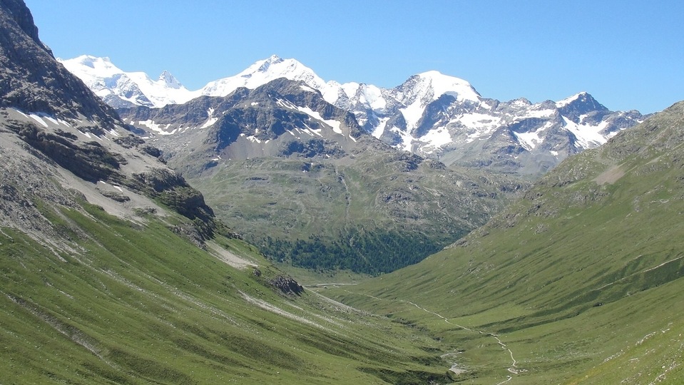 This August 17, 2014 image courtesy of Sabine Rumpf, shows the Val da Fain Valley in Switzerland near Piz Bernina. - Because of climate change, this mountain range is turning green as far as the eye can see -- or rather as seen from satellites. Alps