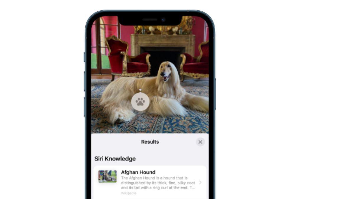Identify the objects in your photos! Visual Look Up will help you out. Visual Look Up can tell you about popular landmarks, plants, books, and art. Apple iPhone
