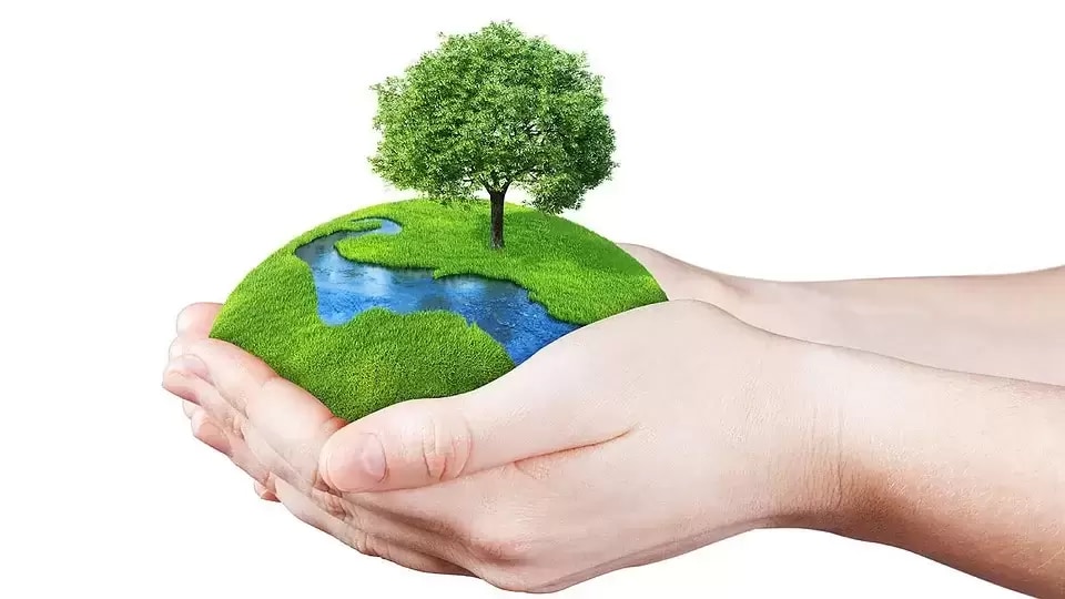 Happy World Environment Day 2022