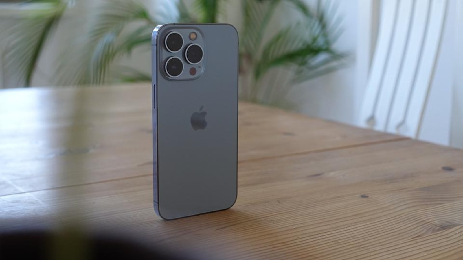 Użytkownik iPhone’a 13, iPhone’a 12 lub iPhone’a 11?  Teraz przetłumacz tekst za pomocą aparatu