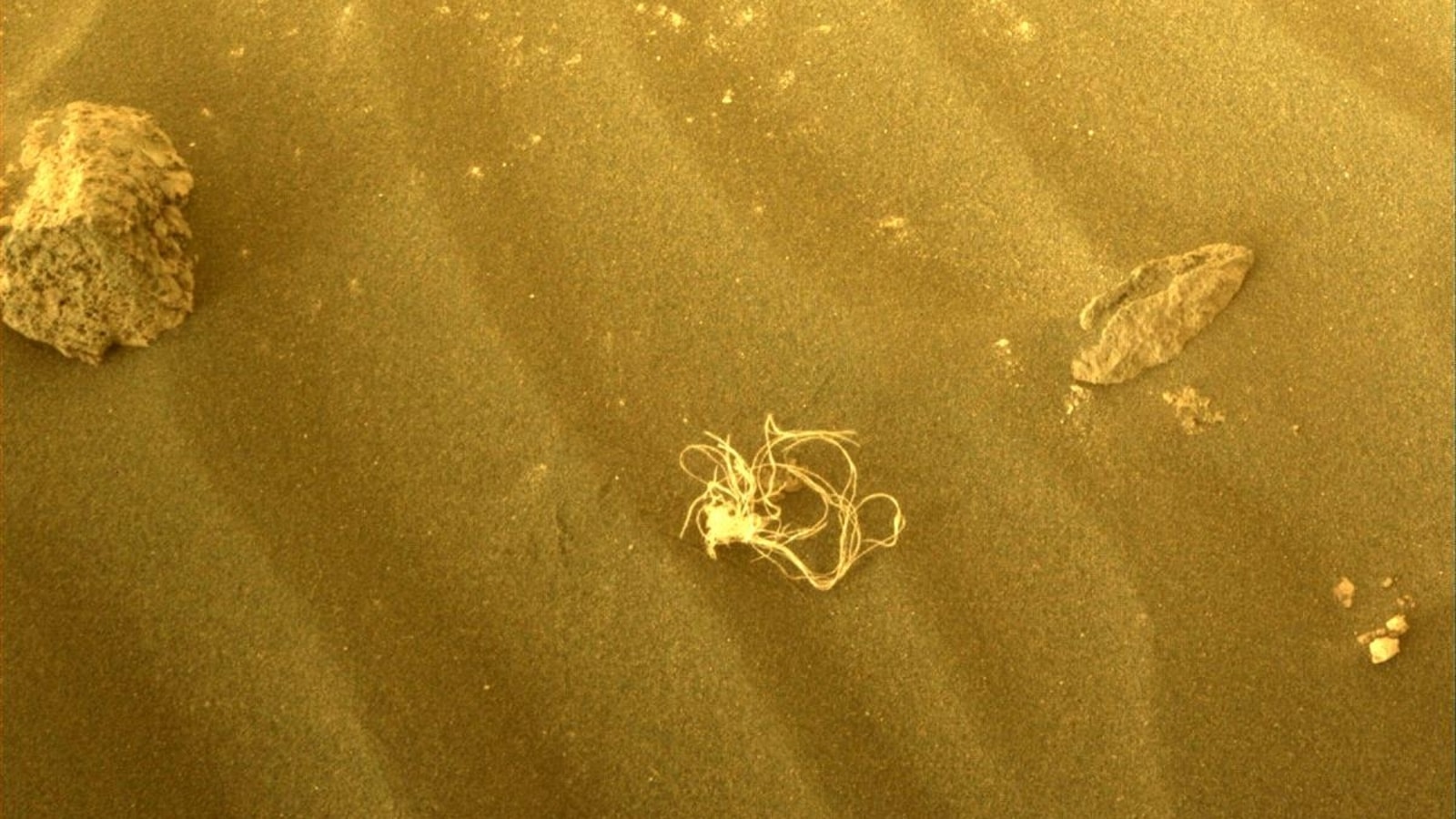 NASA shared an image captured by Mars 2020 Perseverance Rover, which found a mysterious thread-like object that resembles spaghetti. Mars