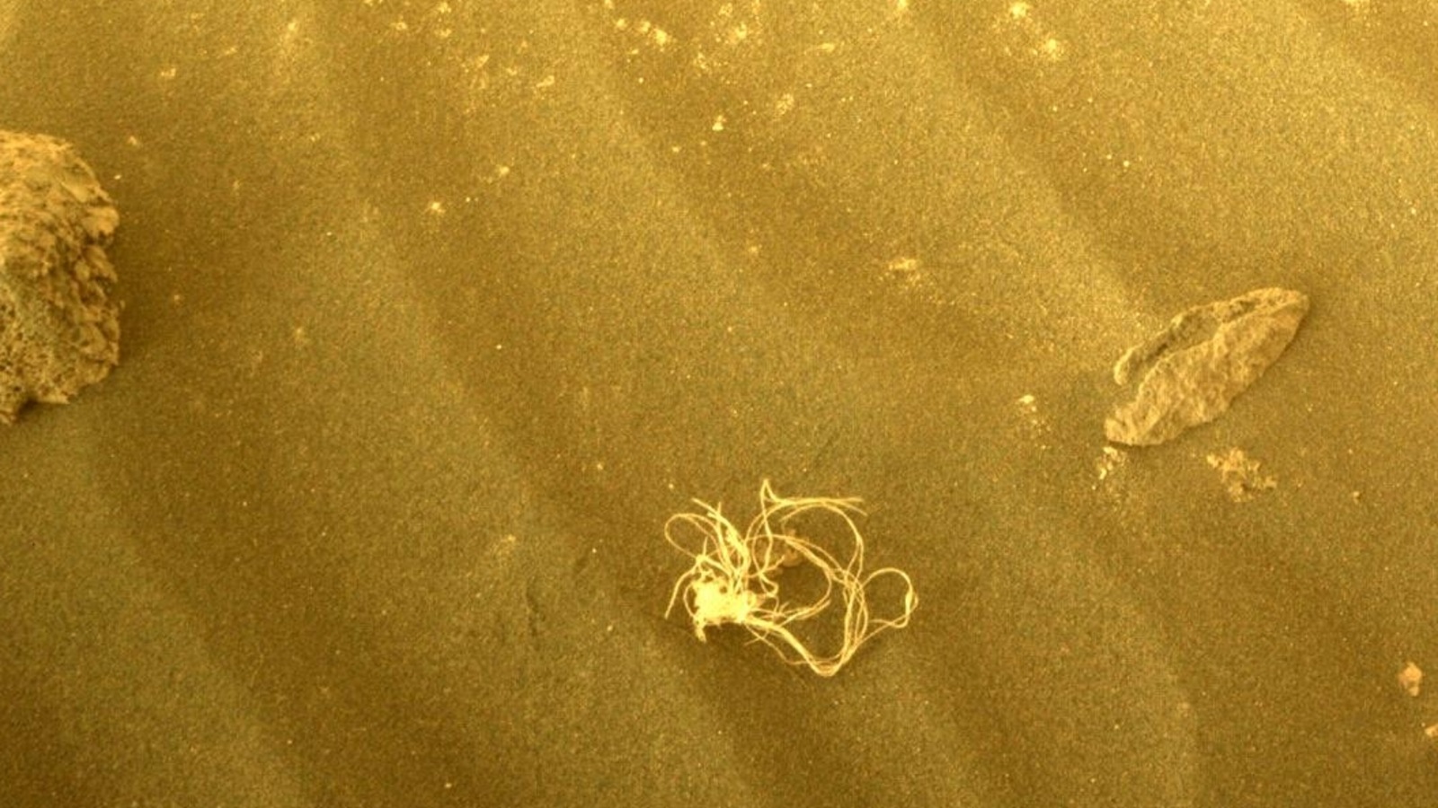 NASA shared an image captured by Mars 2020 Perseverance Rover, which found a mysterious thread-like object that resembles spaghetti. Mars
