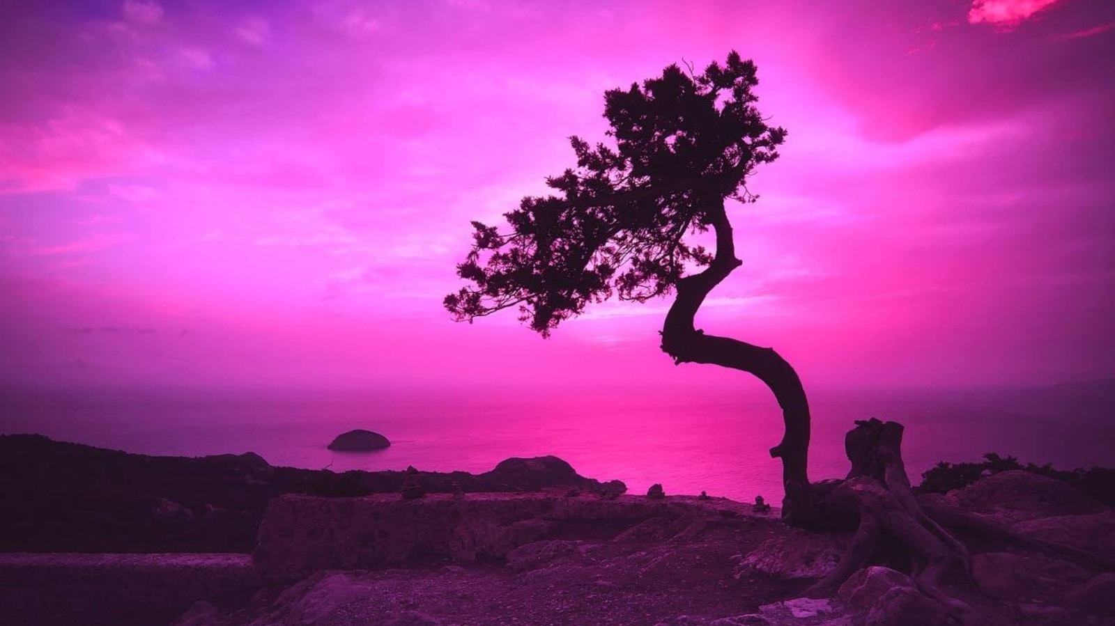 Pink sky