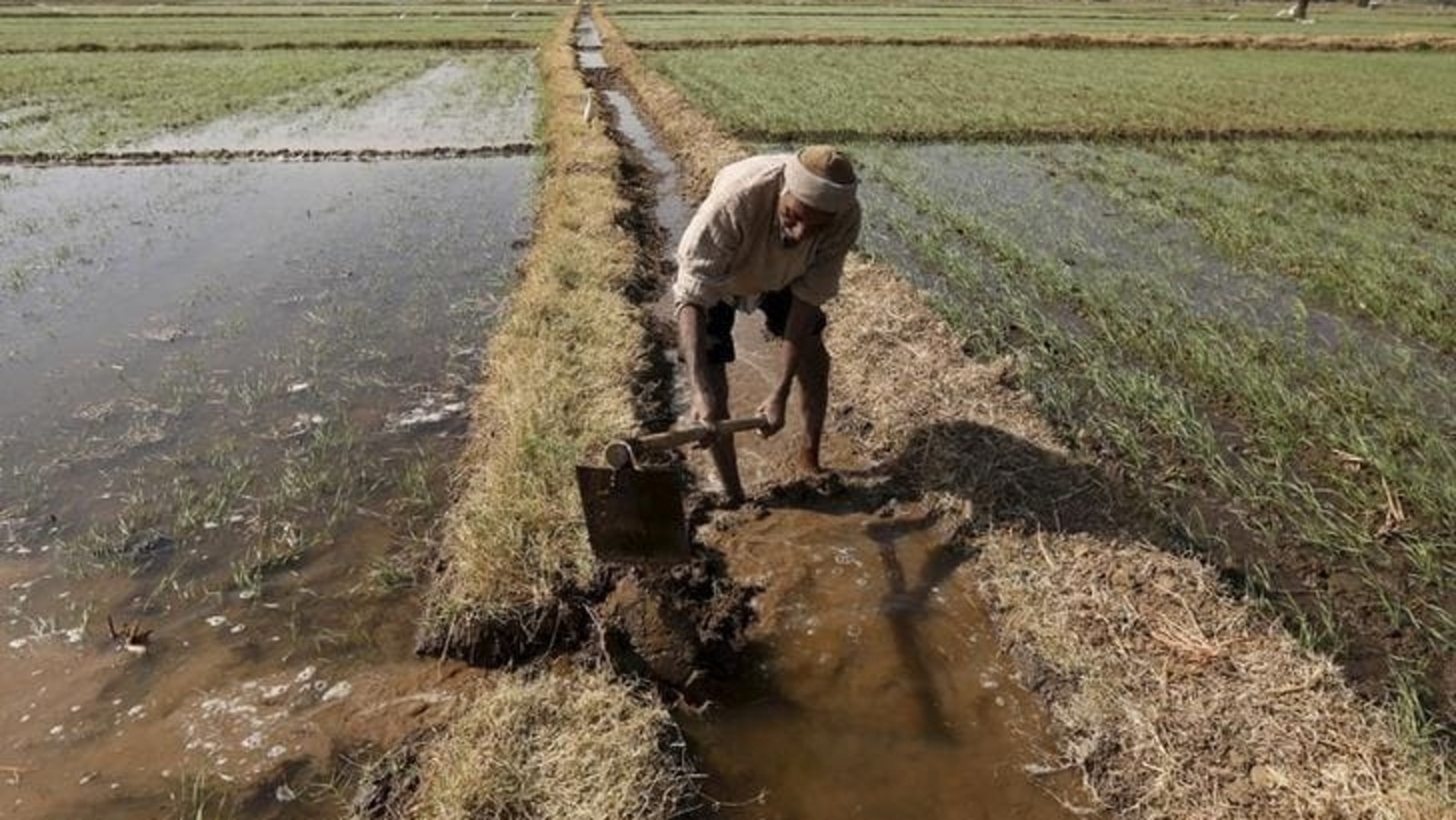 PM Kisan