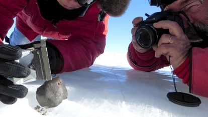 Meteorites