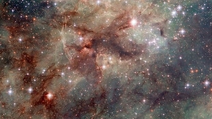 The 30 Doradus is also called the Tarantula Nebula because of its glowing filaments which resemble spider legs, according to NASA. The Nebula is special as it can be seen in the Southern sky with the naked eye. It resembles a large milky patch of stars when viewed from Earth. Tarantula Nebula