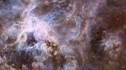 Tarantula Nebula