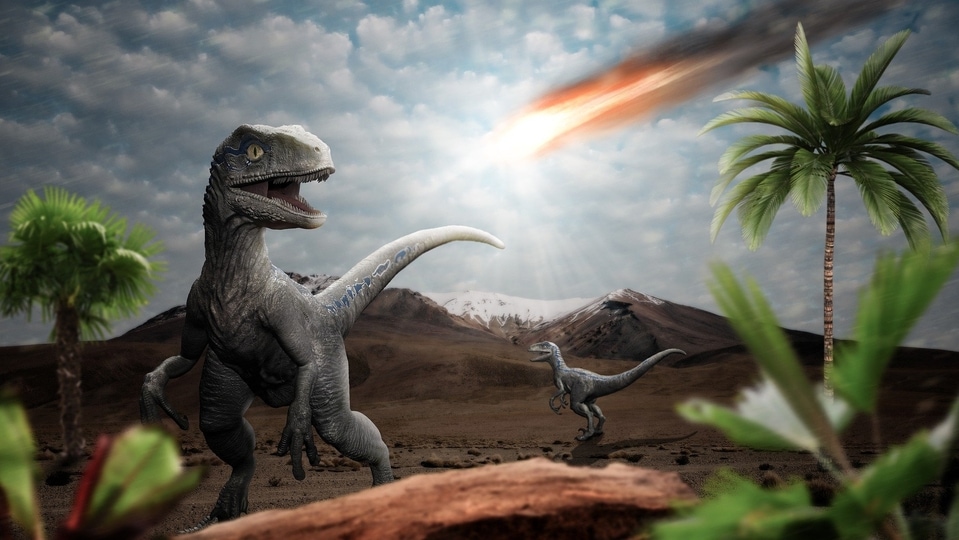 Dinosaurs and asteroid