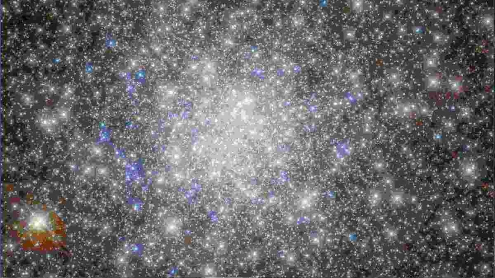 NASA의 허블 우주 망원경은 별이 박힌 구상 성단의 멋진 전망을 포착합니다.