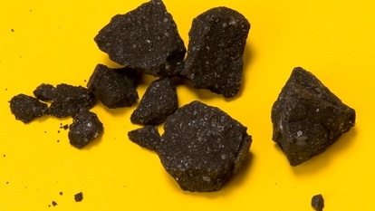 Meteorite