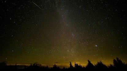 Perseid meteor shower to grace the sky this week.