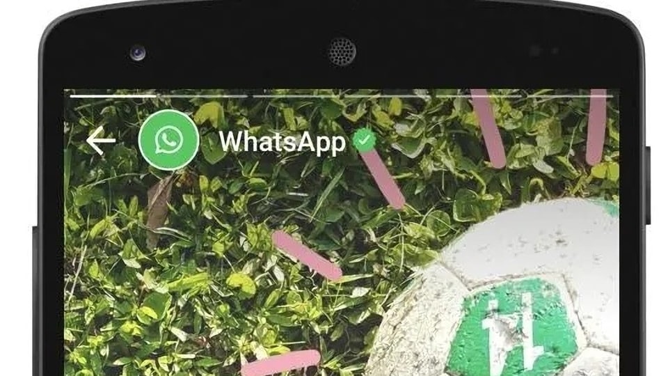 Know hidden tricks to view WhatsApp status secretly.