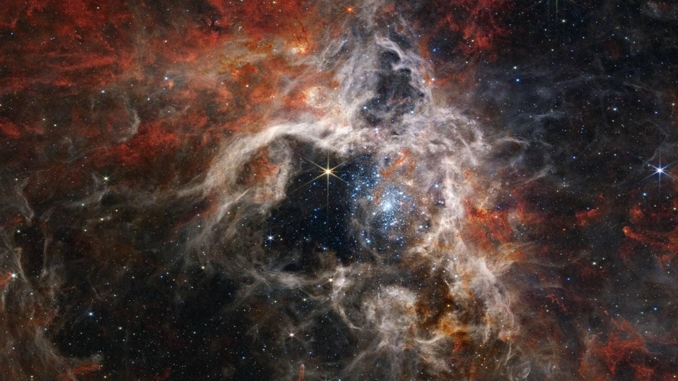 Nebula Tarantula