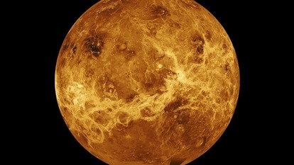 Venus 