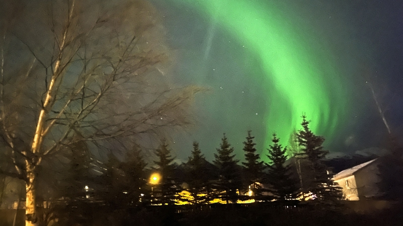 Auroras