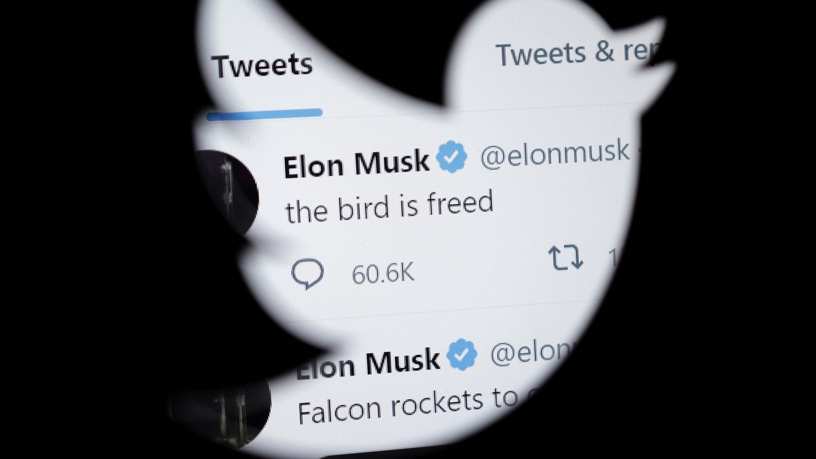 Elon Musk To Reverse Life Bans On Twitter Profiles! This Is Why | Tech News