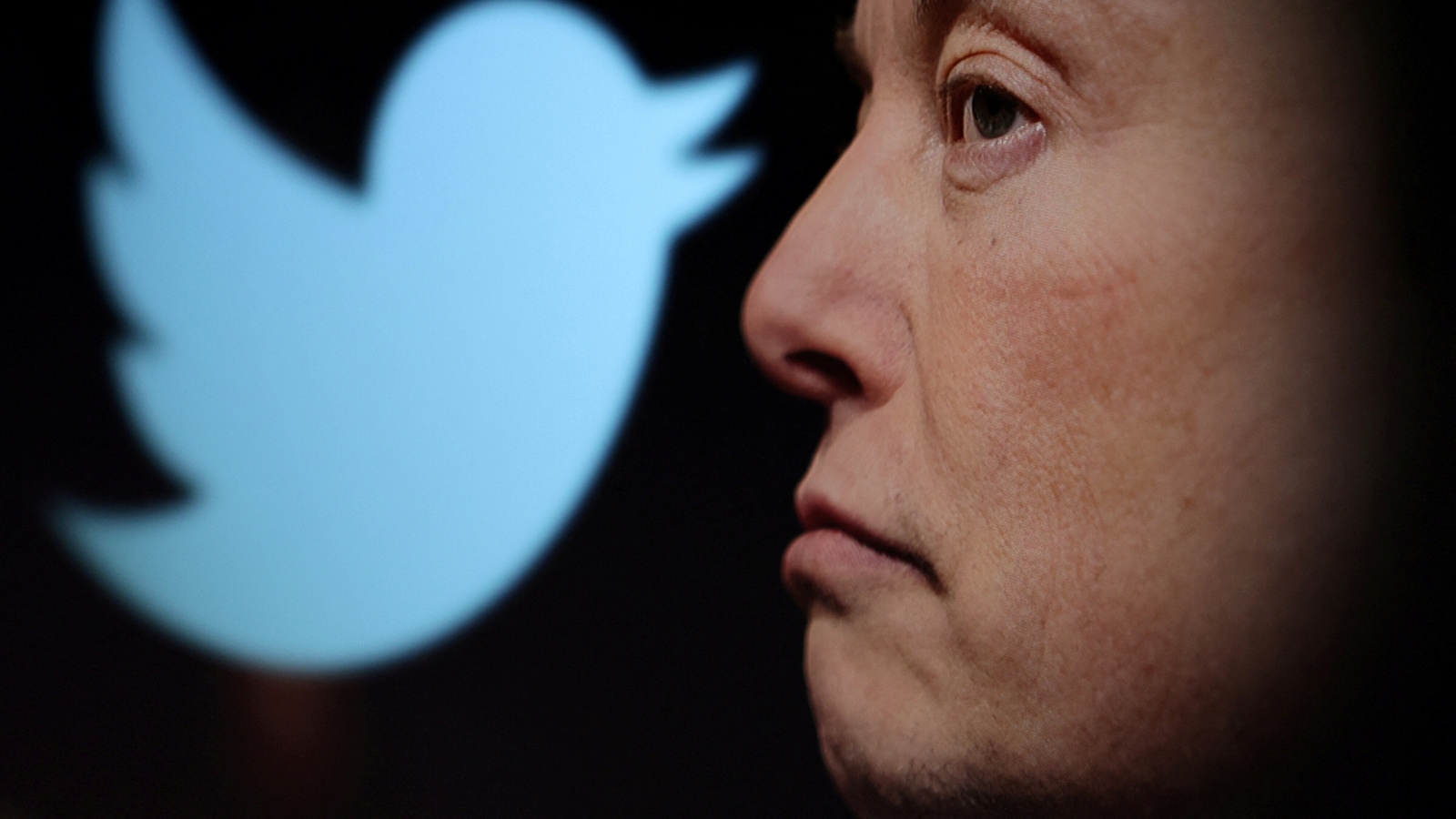 Elon Musk and Twitter