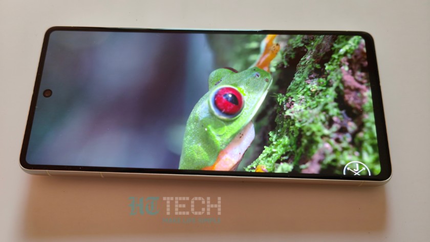 Google Pixel 7 display Google Pixel 7