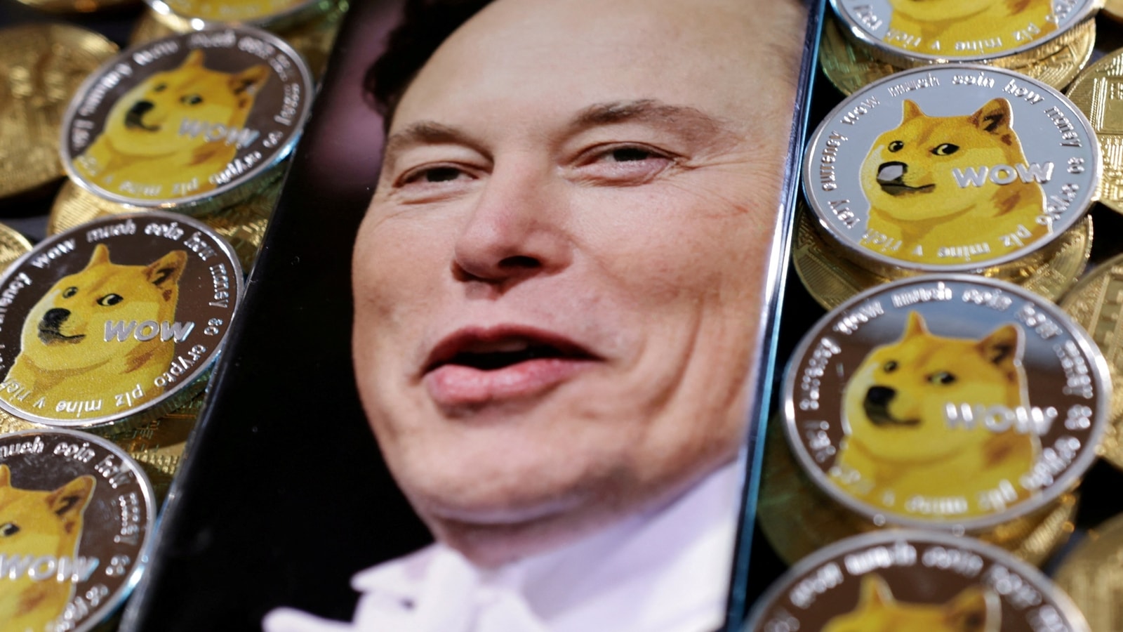 Dogecoin Surges On Elon Musk's Twitter Deal | Tech News